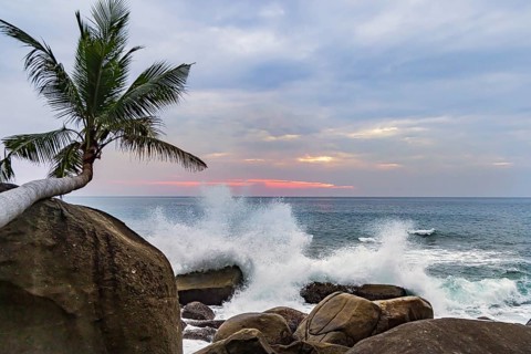 Wild beach with surf on the coast facing the Indian Ocean. Palm trees and high waves at sunset.