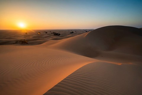 Sand dunes in the desert, near Duqm, Oman, Asia