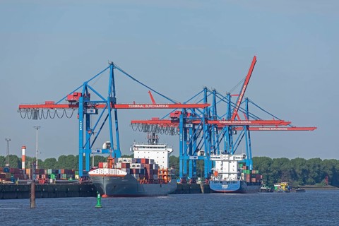 Container ships, Burchardkai container terminal, Norderelbe, Hamburg, Germany, Europe