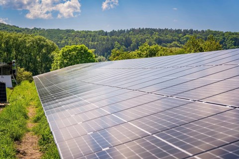 Large solar panels on a field reflecting the sun's rays, surrounded by trees and sky, construction