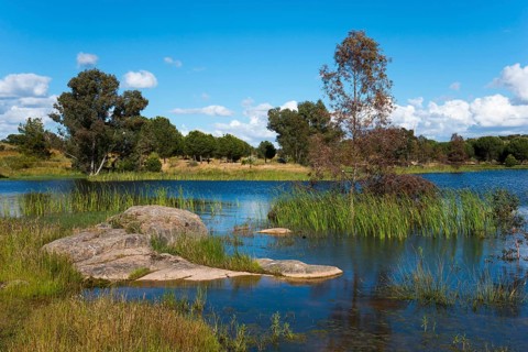 A peaceful lake with rocks, trees and calm water under a clear blue sky, reservoir, Proserpina dam,