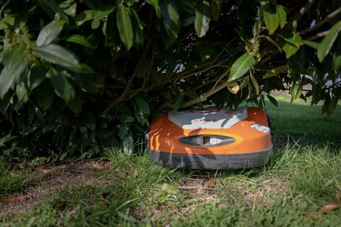 Mowing robot, lawn mower, Stihl, orange and white, under a cherry laurel bush, standing on lawn,