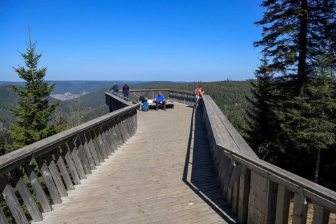 Viewing platform at Ellbachsee, near Baiersbronn, Freudenstadt district, Black Forest,