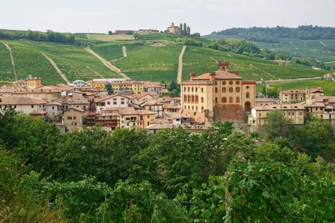 The town of Barolo with its castle, Castello di Barolo, seat of the Enoteca Barolo, province of