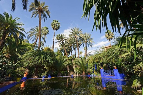 Morocco, Jardin Majorelle Botanical Garden in Marrakech, Africa
