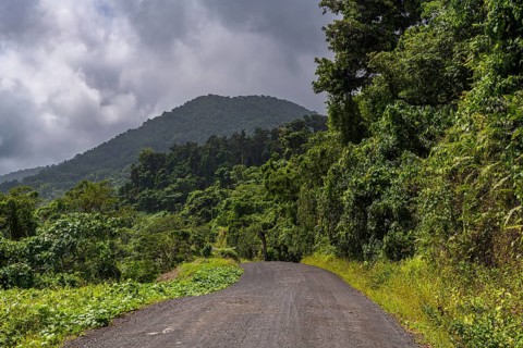 Dirt road, Taveuni, Fiji, South Pacific, Oceania