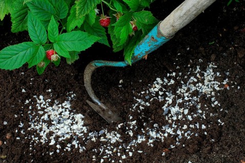 Horn shavings, fertiliser, manure, fertiliser, natural fertiliser