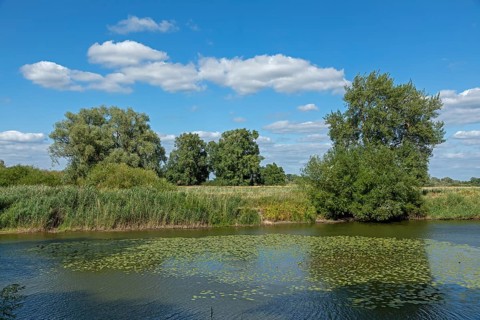 Elbtalaue, Alte Jeetzel, Hitzacker, Lower Saxony, Germany, Europe