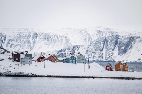 Colourful houses in a snowy landscape, fishing village Kongsfjord, Berlevåg, Varanger Peninsula,