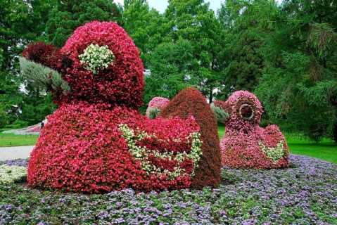 Flower decoration, duck sculpture formed from begonias, Mainau Island, Lake Constance,