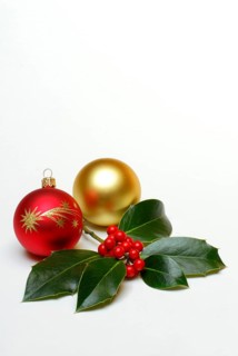 Holly (Ilex aquifolium) leaves and berries, christmas tree balls, on writing, prick sleeve,
