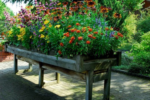 Raised bed with summer flowers
