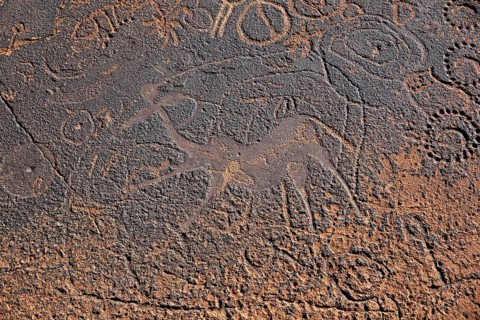 Rock engraving of the Dancing Kudus, Twyfelfontein, Unesco World Heritage Site, Kunene Region,