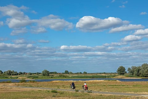 Cyclist, Elbe Cycle Route, Elbe, Hitzacker, Elbtalaue, Lower Saxony, Germany, Europe