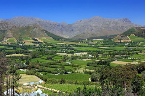Franschhoek, Cape Region, Western Cape, South Africa, Wine Region, Africa