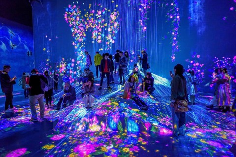 Digital Art Museum, Epson Team Lab Borderless, Odaiba Island, Tokyo, Japan, Asia