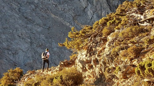 Hikers on hiking trail, Gingilos, Hiking on the Gingilos, Morning light, Samaria Gorge, Omalos,