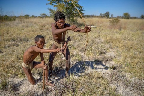Bushmen of the Ju/' Hoansi-San on traditional hunting with bow and arrow, village //Xa/oba, near