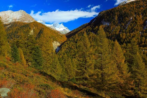 Strahlhorn and Adlerhorn mountains, Valais Alps, Canton Valais, Switzerland, Europe