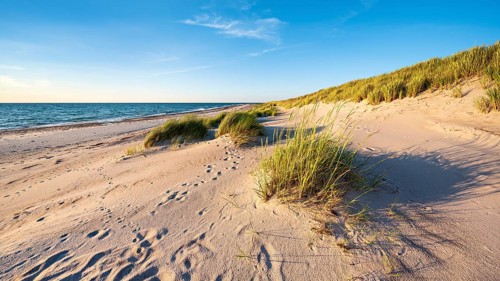 Beach with dunes at Darßer Ort in the National Park, Weststrand, Darß Peninsula,