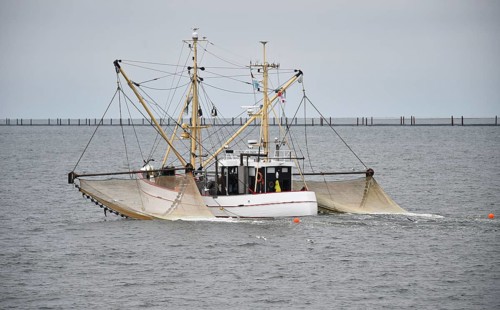 Crab cutter on a fishing trip in the Wadden Sea, Germany, Europe