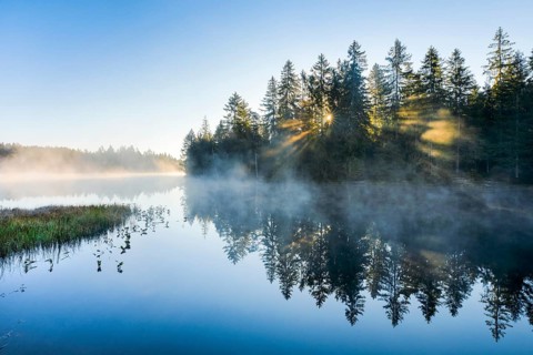 Sunrise over the mirror-smooth mire lake Étang de la Gruère in the canton of Jura, Switzerland,