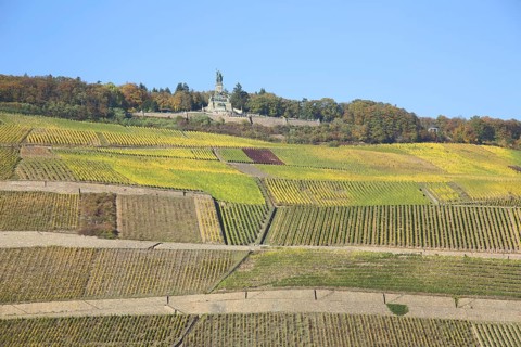 View of Niederwald Monument over the vineyards, wine-growing area, autumn, vineyards, mountain,