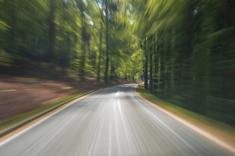 Ride on road through spring forest, Amorbach, Odenwald, Bavaria, Germany, Europe
