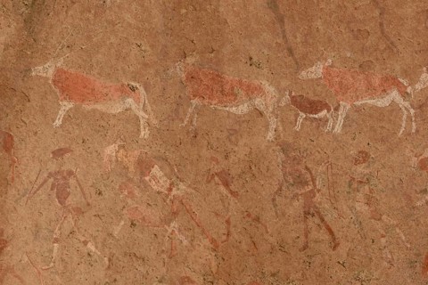 Rock paintings, Tsisab gorge, Brandberg, Erongo region, Namibia, Africa