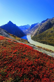 Swiss Alps, Grimselsee, Canton Bern, Switzerland, Europe