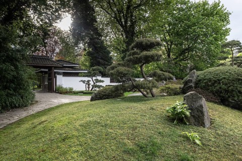 Japanese Garden, Bad Langensalza, Thuringia, Germany, Europe