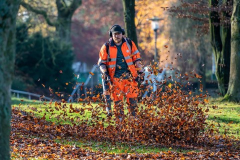 Leaf blower, removal of autumn leaves in a municipal park, Duisburg, North Rhine-Westphalia,