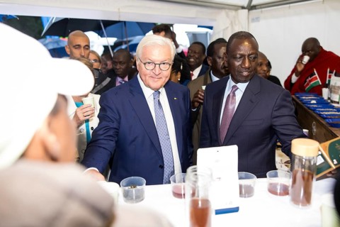 Frank-Walter Steinmeier (President of the Federal Republic of Germany) and William Samoei Ruto
