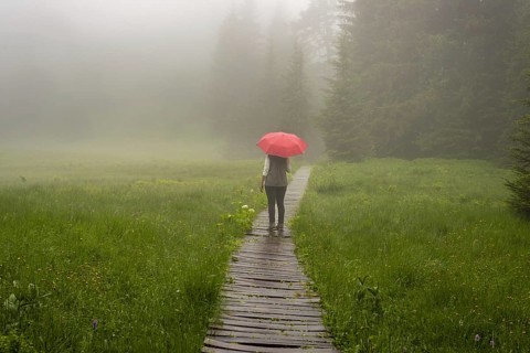 Woman 60-65 with umbrella in the Hühnermoos on a cloudy day with fog, a high moor at the Söllereck