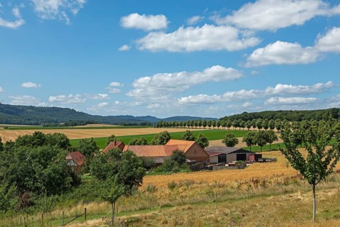 Farm, Landscape, Wittenburg, Elze, Lower Saxony, Germany, Europe