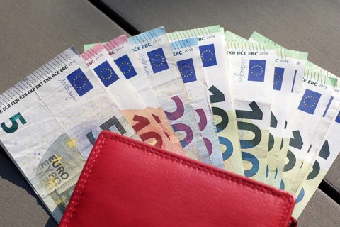 Banknotes, euro, wallet, compartments, A red wallet contains individual banknotes from 5 to 100