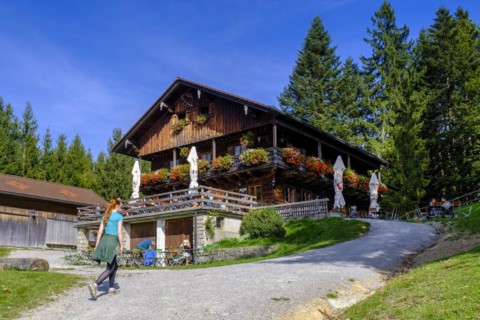 Denkalm, near Lenggries, Isarwinkel, Tölzer Land, Upper Bavaria, Bavaria, Germany, Europe