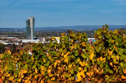 View of half-finished high-rise building GEWA-Tower, ruined building, vineyard, vines, vine