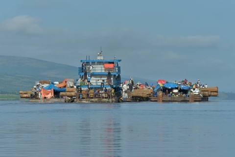Freighter transporting logs of tropical timber on the Congo River, near Kinshasa, Kinshasa