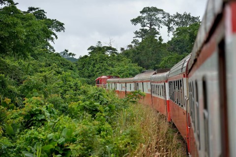 Railroad, old waggons, French rolling stock, near Batschenga, Cameroon, Africa