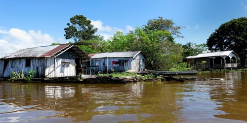 Houses on stilts in the flooded forest along the Rio Negro, Manaus, Amazonia State, Brazil, South