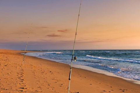 Surf fishing, two rods standing on the beach, Soustons Plage, evening light, Silver Coast, Côte