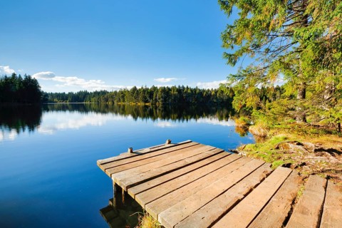 Bathing jetty on the lakeshore of the Étang de la Gruère mire lake in the canton of Jura,