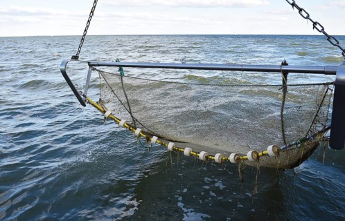 Crab cutter has displayed its nets in the North Sea, Büsum, Germany, Europe