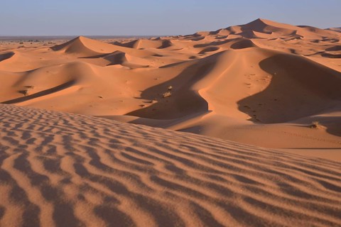 Dunes in the morning light, Great Sand Sea, Sahara, Merzouga, Meknès-Tafilalet region, Morocco,