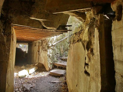 Ruins of the Wolf's Lair (also Wolf's Lair or Görlitz), the military situation centre of the