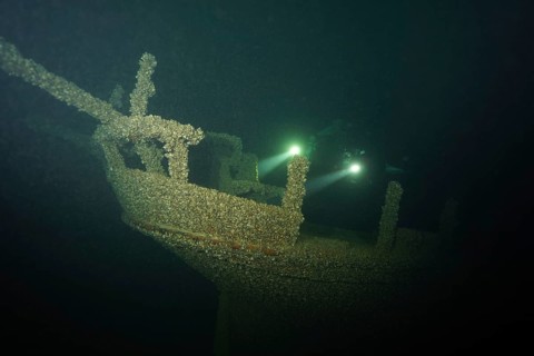 Divers with torches examine an old shipwreck overgrown with mussels, quagga triangle mussel
