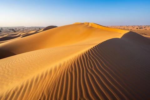 Sand dunes in the desert, near Duqm, Oman, Asia