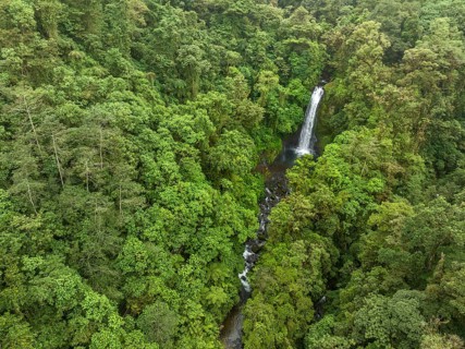 Aerial view, waterfall in the rainforest, Catarata de la Paz, La Paz Waterfall Gardens Nature Park,