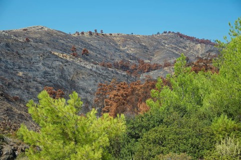 Burnt mountain landscape in contrast to the green trees in the foreground, forest fires, summer
